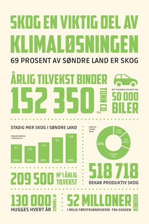 Fakta om skog i Søndre Land