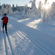 Vinterbilde på åsen, med snødekte trær og en skiløper i nykjørte dobbeltspor