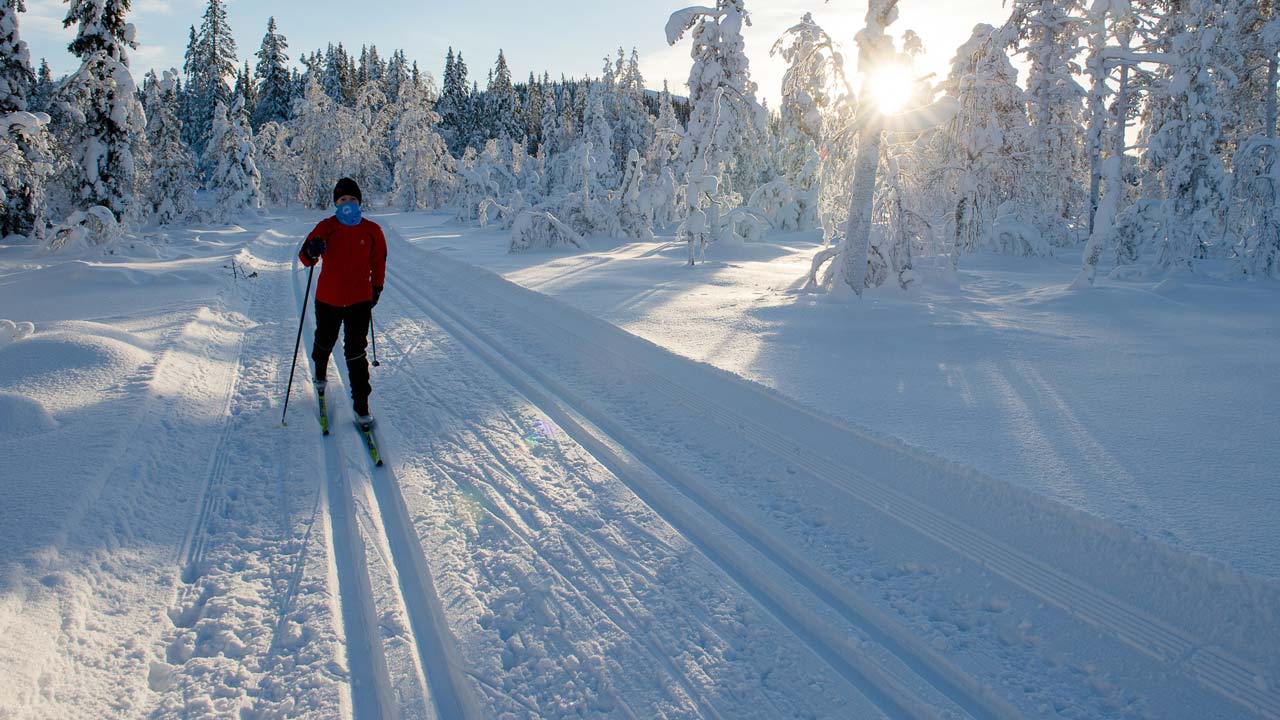 Vinterbilde på åsen, med snødekte trær og en skiløper i nykjørte dobbeltspor