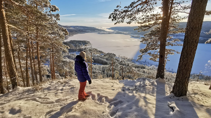Vinterbilde fra Odnesberget med dame med ryggen mot kamera-illustrerer friluft