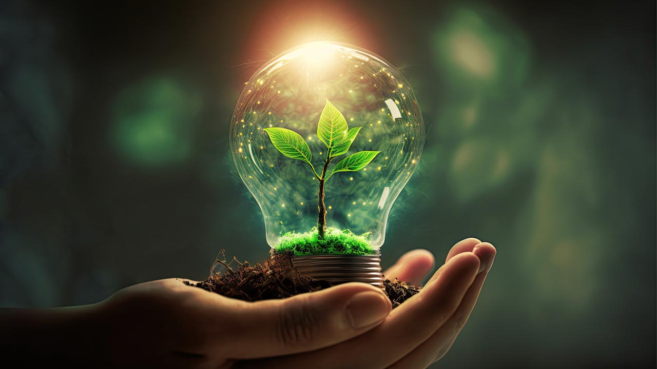 Bilde av en hånd som holder en lyspær. Inne i lyspæren voksen en plante. Illustrasjon på bærekraft, miljø osv.